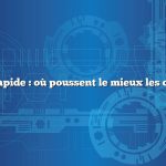 Réponse rapide : où poussent le mieux les cacahuètes